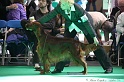 Crufts2011 662